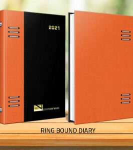 Ring Bound Diaries - Botswana Diaries